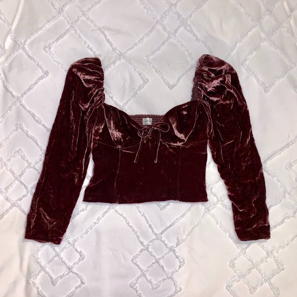 Aritzia Wilfred Novella Velvet Blouse - Picture 5 of 7